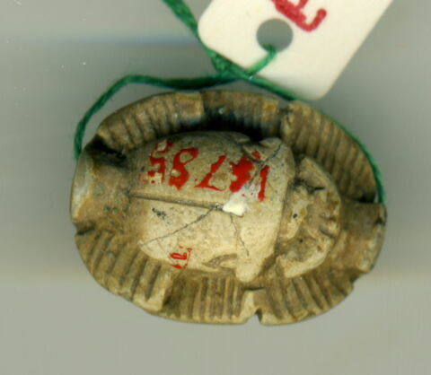scarabée à pattes hypertrophiées ; chaton de bague, image 2/2