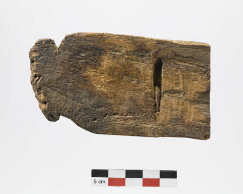 étiquette de momie, image 2/2