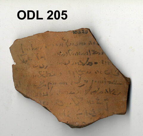 ostracon, image 1/1