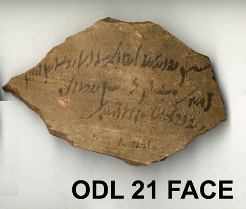 ostracon, image 1/1