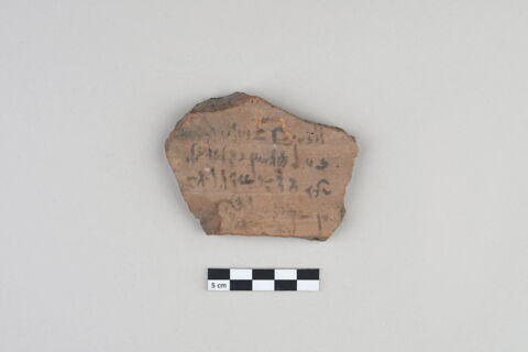 ostracon, image 1/3