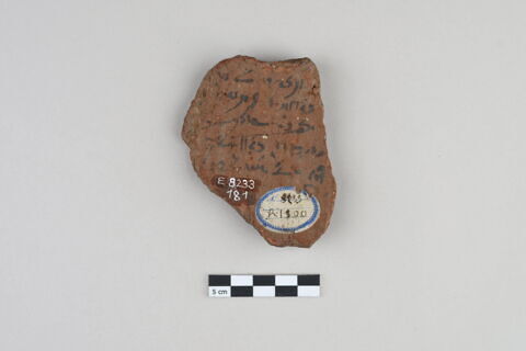 ostracon, image 2/4