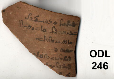 ostracon, image 1/1