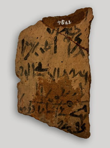 ostracon, image 2/5