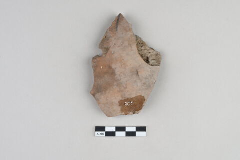 ostracon, image 2/3