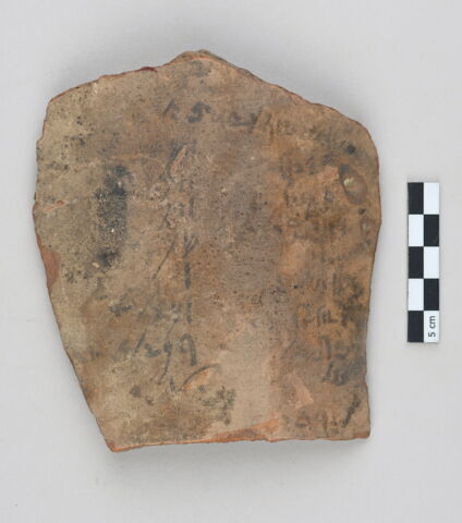ostracon, image 1/3