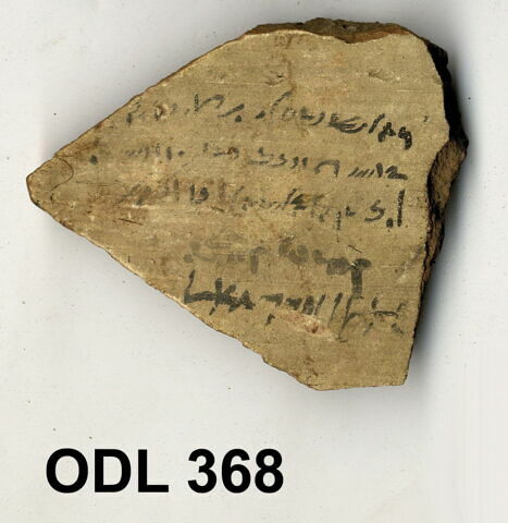 ostracon, image 1/1