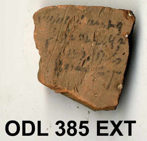 ostracon, image 1/1