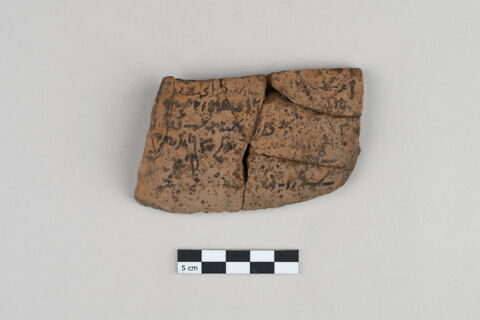ostracon, image 1/3
