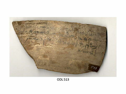 ostracon, image 1/1