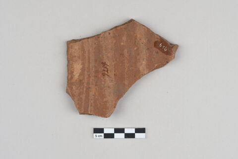 ostracon, image 2/3