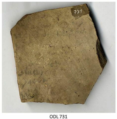 ostracon, image 1/2