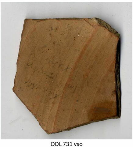 ostracon, image 2/2