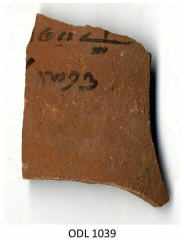 ostracon, image 1/1