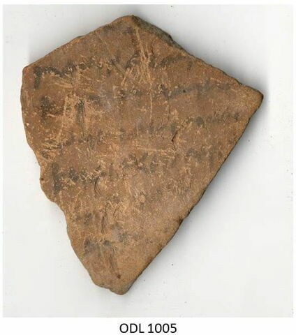 ostracon, image 1/1