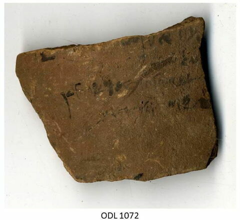 ostracon, image 1/1
