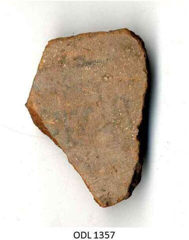ostracon, image 5/5