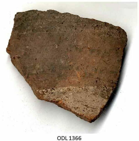ostracon, image 1/1