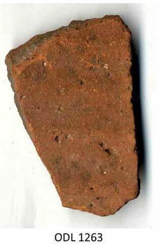 ostracon, image 1/1