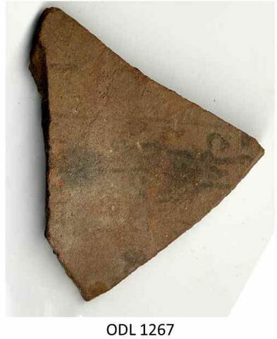 ostracon, image 1/1