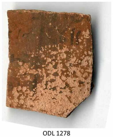 ostracon, image 1/1