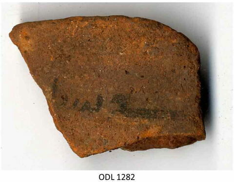ostracon, image 1/1