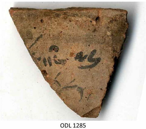 ostracon, image 1/1