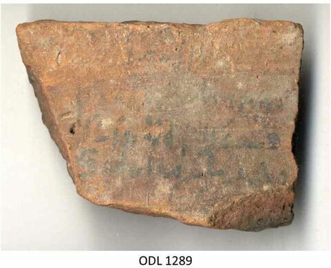 ostracon, image 1/1