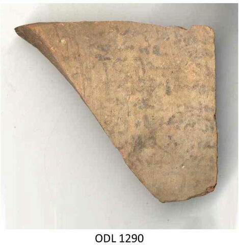 ostracon, image 1/2