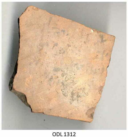 ostracon, image 1/1