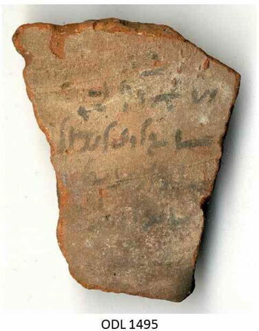 ostracon, image 1/2