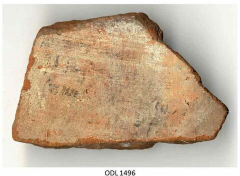 ostracon, image 1/1