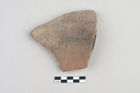 ostracon, image 1/3
