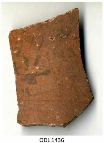 ostracon, image 1/1