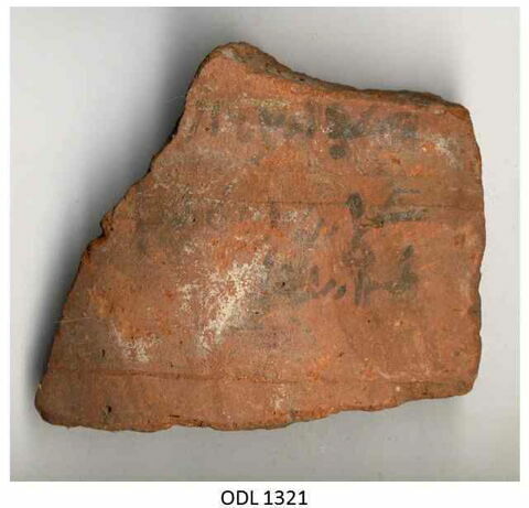 ostracon, image 1/1