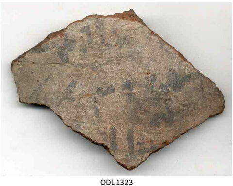 ostracon, image 1/1