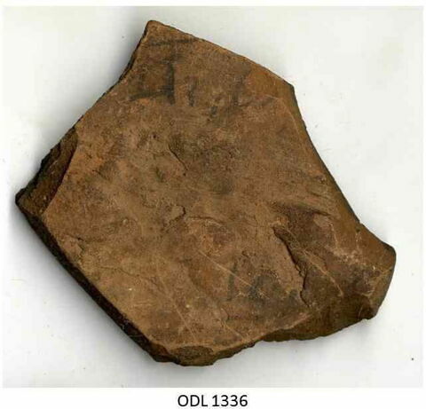 ostracon, image 1/1