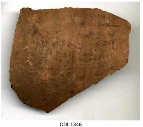 ostracon, image 1/1