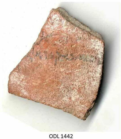 ostracon, image 1/1