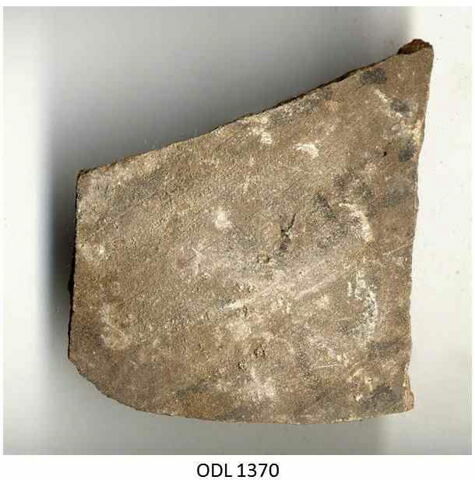 ostracon, image 1/1