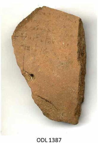 ostracon, image 1/1