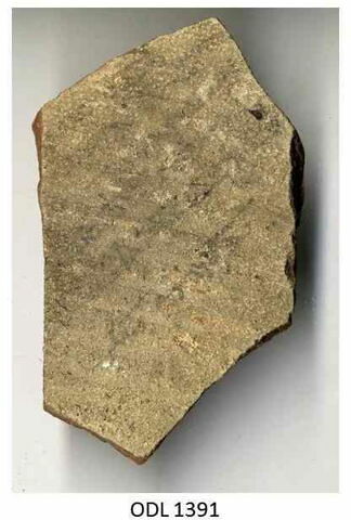 ostracon, image 1/1