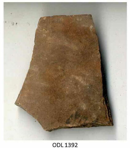 ostracon, image 1/1