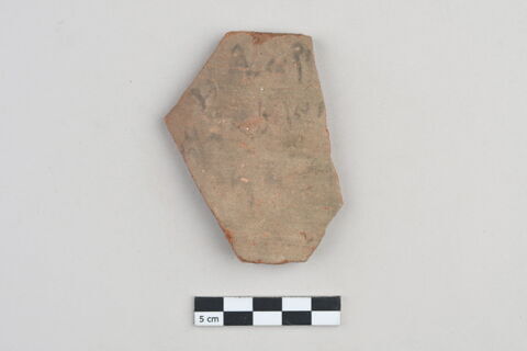 ostracon, image 1/3
