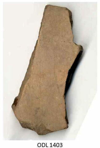 ostracon, image 1/1
