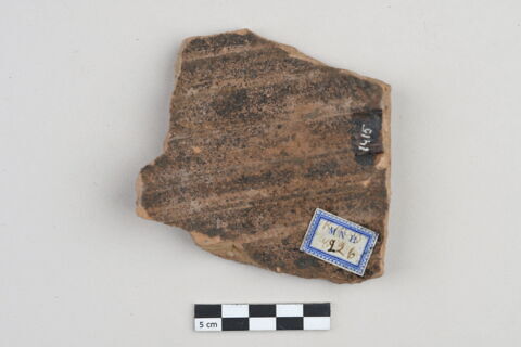 ostracon, image 2/3