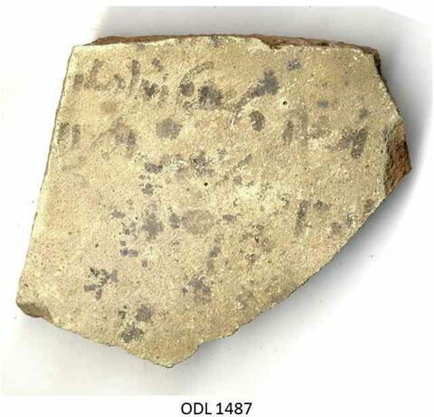 ostracon, image 1/1