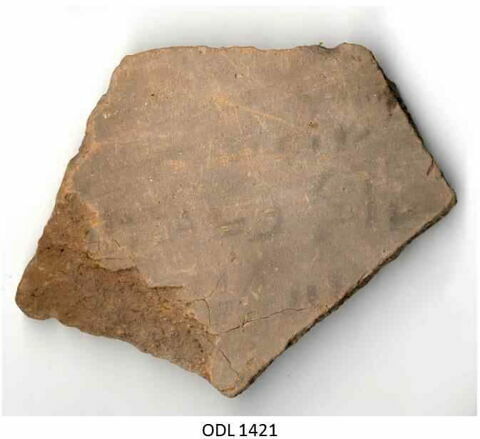 ostracon, image 1/1