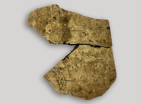ostracon, image 2/3