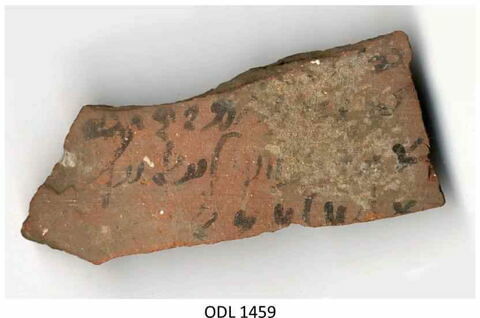 ostracon, image 1/1